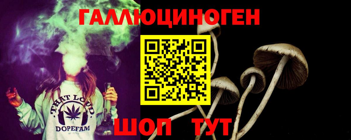 Псилоцибиновые грибы GOLDEN TEACHER Кубинка