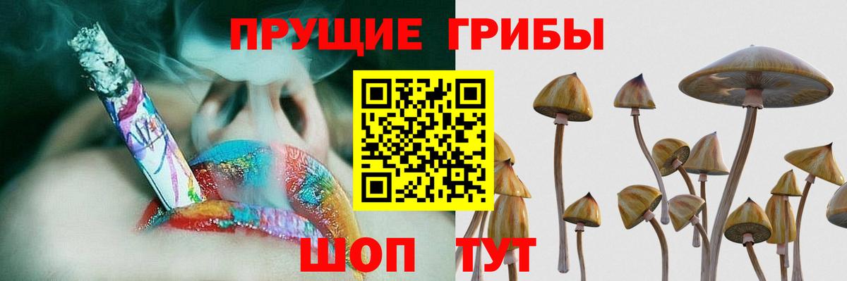 Галлюциногенные грибы Magic Shrooms  Вход с VPN  Кубинка  Галлюциногенные грибы мицелий 